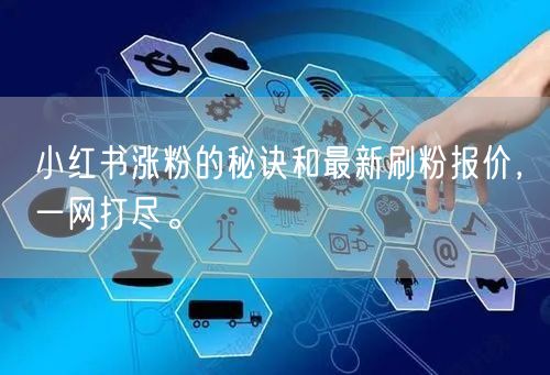小红书涨粉的秘诀和最新刷粉报价，一网打尽。