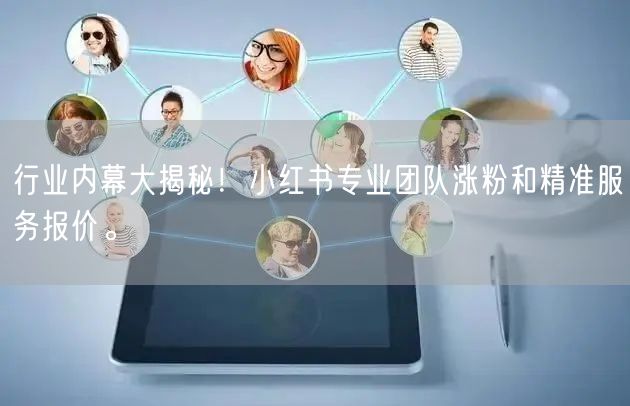 行业内幕大揭秘！小红书专业团队涨粉和精准服务报价。