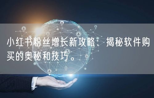 小红书粉丝增长新攻略：揭秘软件购买的奥秘和技巧。