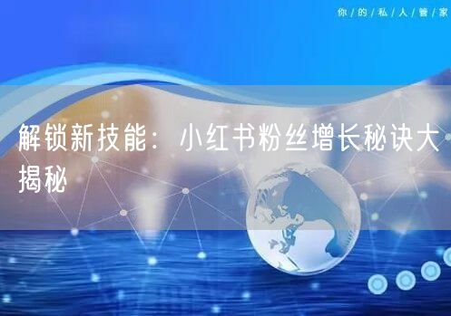 解锁新技能：小红书粉丝增长秘诀大揭秘