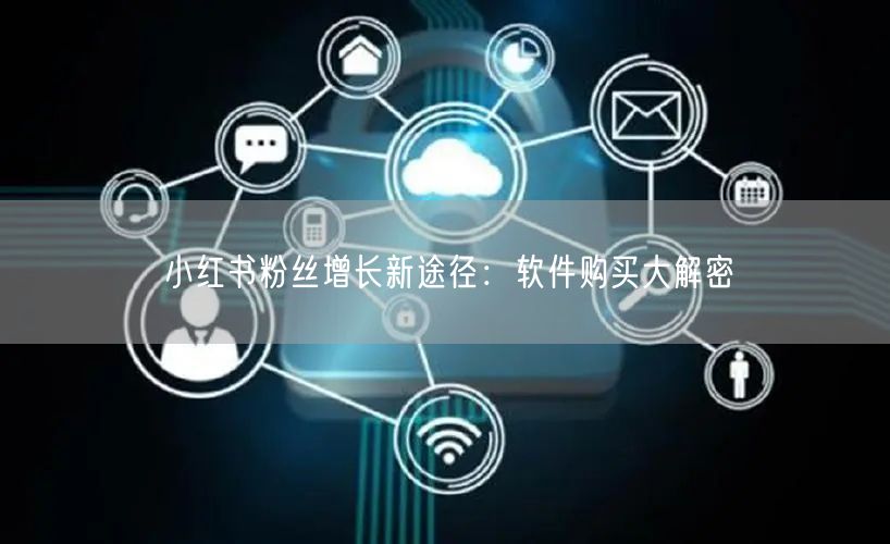 小红书粉丝增长新途径：软件购买大解密