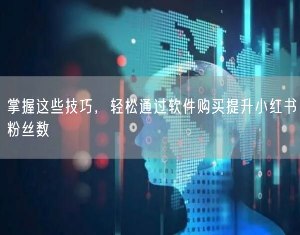 掌握这些技巧，轻松通过软件购买提升小红书粉丝数