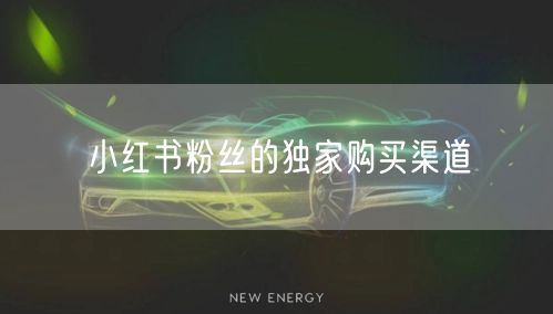 小红书粉丝的独家购买渠道