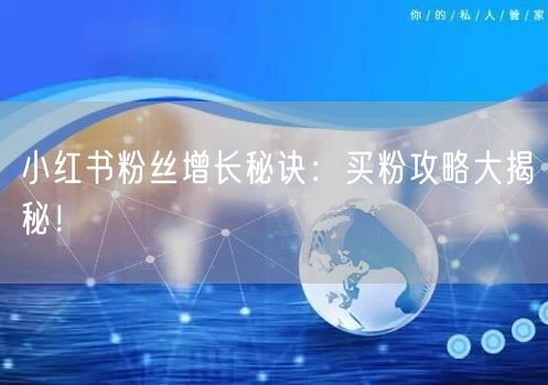 小红书粉丝增长秘诀：买粉攻略大揭秘！