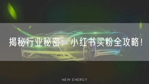 揭秘行业秘密：小红书买粉全攻略！