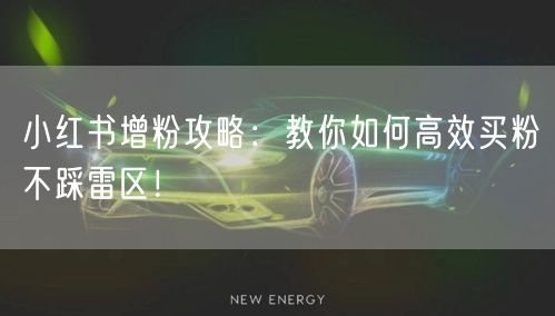 小红书增粉攻略：教你如何高效买粉不踩雷区！