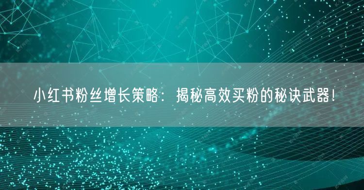 小红书粉丝增长策略：揭秘高效买粉的秘诀武器！