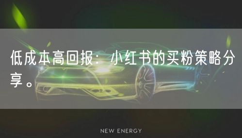 低成本高回报：小红书的买粉策略分享。