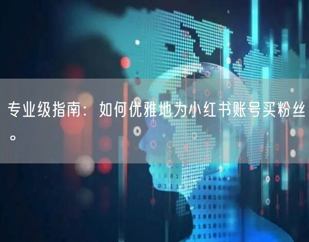 专业级指南：如何优雅地为小红书账号买粉丝。