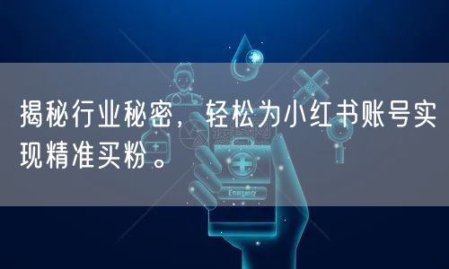 揭秘行业秘密，轻松为小红书账号实现精准买粉。