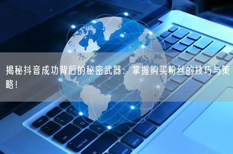 揭秘抖音成功背后的秘密武器：掌握购买粉丝的技巧与策略！
