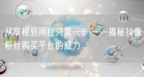 从草根到网红只需一步——揭秘抖音粉丝购买平台的威力。