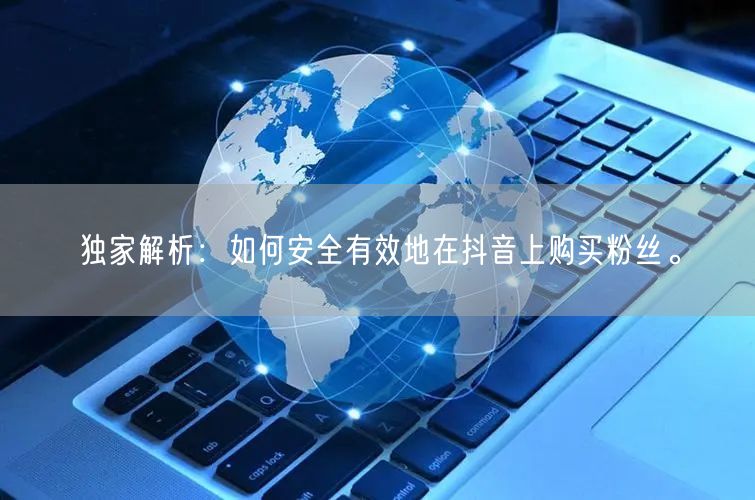 独家解析：如何安全有效地在抖音上购买粉丝。