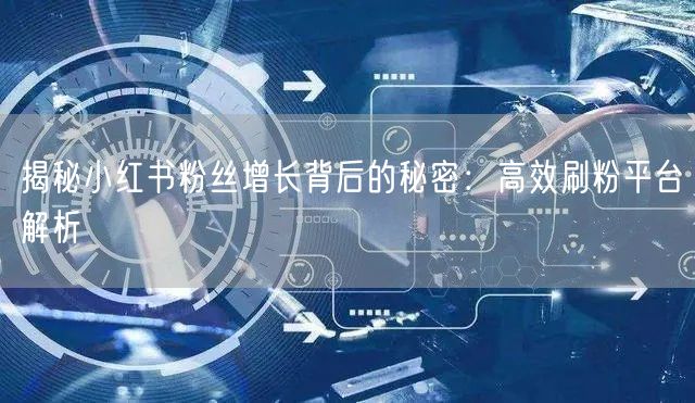 揭秘小红书粉丝增长背后的秘密：高效刷粉平台解析