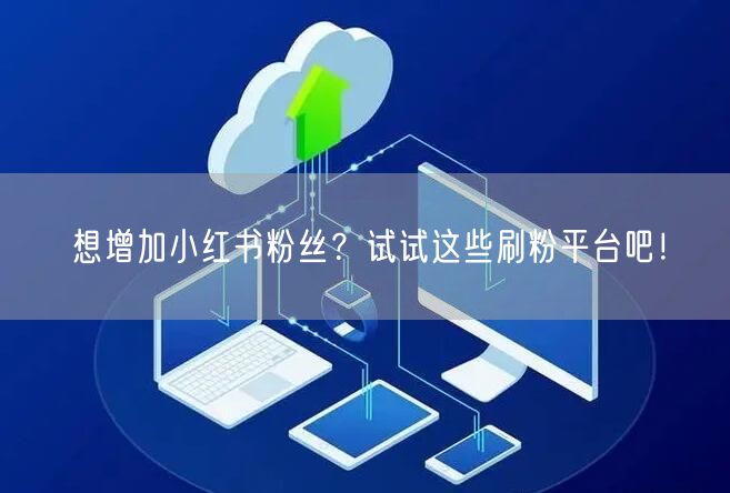 想增加小红书粉丝？试试这些刷粉平台吧！