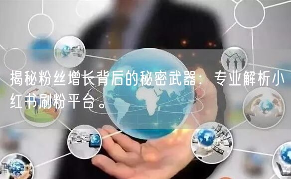 揭秘粉丝增长背后的秘密武器：专业解析小红书刷粉平台。