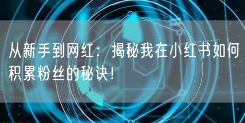 从新手到网红：揭秘我在小红书如何积累粉丝的秘诀！