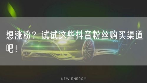 想涨粉?试试这些抖音粉丝购买渠道吧!