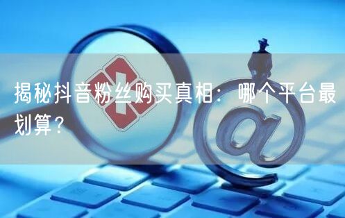 揭秘抖音粉丝购买真相:哪个平台最划算?