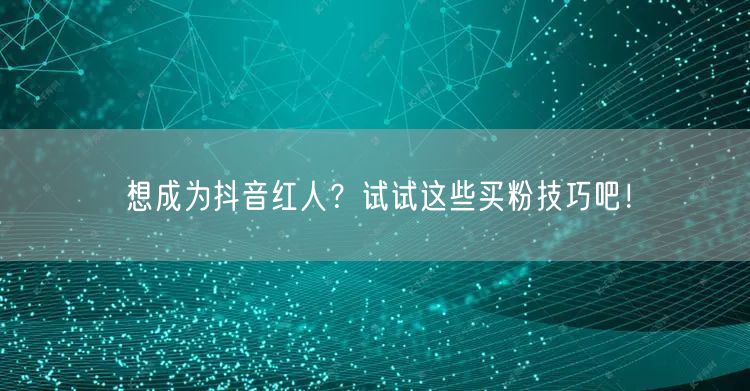 想成为抖音红人？试试这些买粉技巧吧！