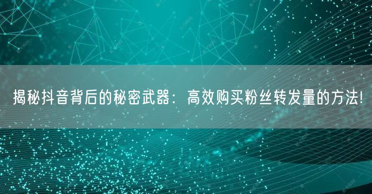揭秘抖音背后的秘密武器：高效购买粉丝转发量的方法!