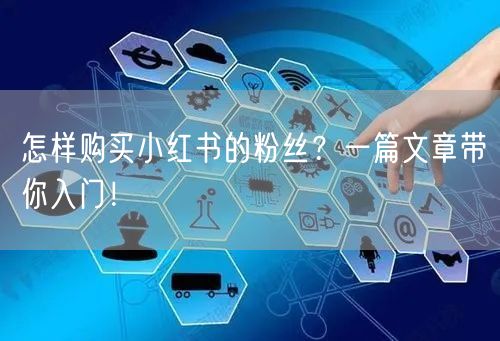 怎样购买小红书的粉丝？一篇文章带你入门！