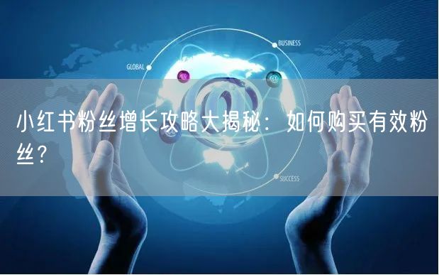 小红书粉丝增长攻略大揭秘：如何购买有效粉丝？