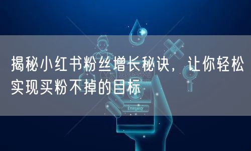 揭秘小红书粉丝增长秘诀，让你轻松实现买粉不掉的目标