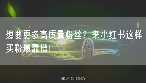 想要更多高质量粉丝？来小红书这样买粉最靠谱!