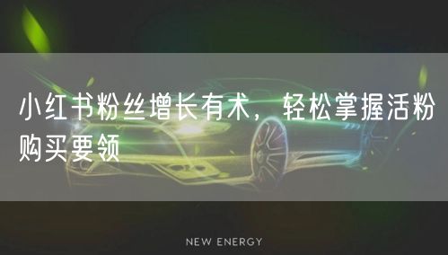 小红书粉丝增长有术,轻松掌握活粉购买要领