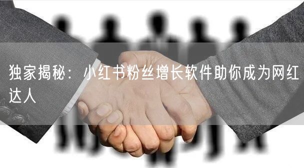 独家揭秘：小红书粉丝增长软件助你成为网红达人