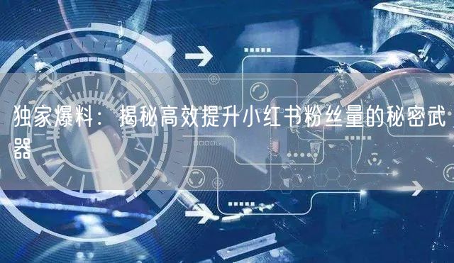 独家爆料：揭秘高效提升小红书粉丝量的秘密武器