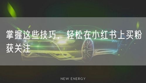 掌握这些技巧，轻松在小红书上买粉获关注