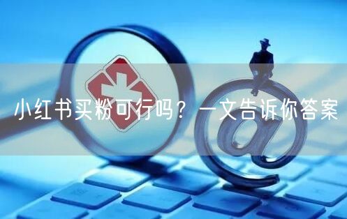 小红书买粉可行吗？一文告诉你答案