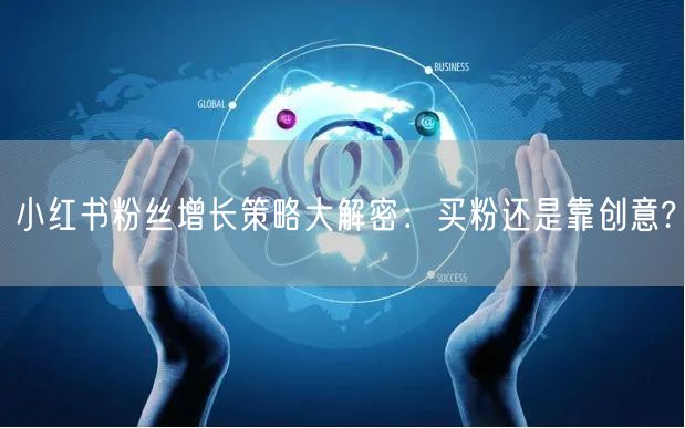 小红书粉丝增长策略大解密：买粉还是靠创意?