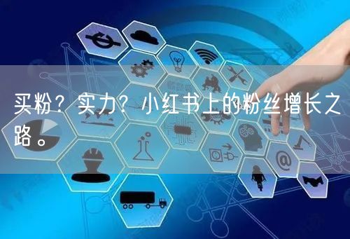买粉？实力？小红书上的粉丝增长之路。