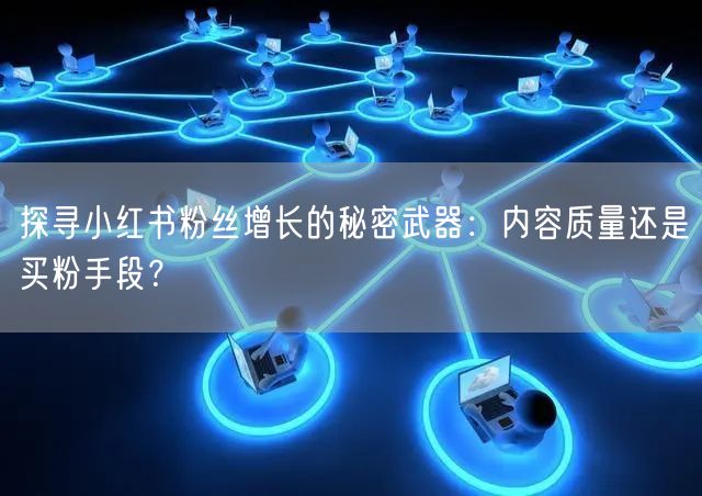 探寻小红书粉丝增长的秘密武器：内容质量还是买粉手段？