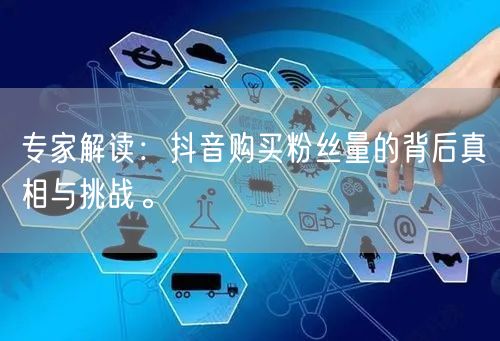 专家解读：抖音购买粉丝量的背后真相与挑战。
