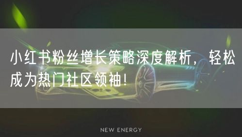 小红书粉丝增长策略深度解析，轻松成为热门社区领袖！