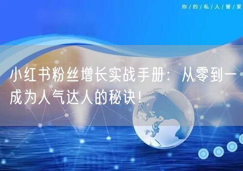 小红书粉丝增长实战手册：从零到一成为人气达人的秘诀！