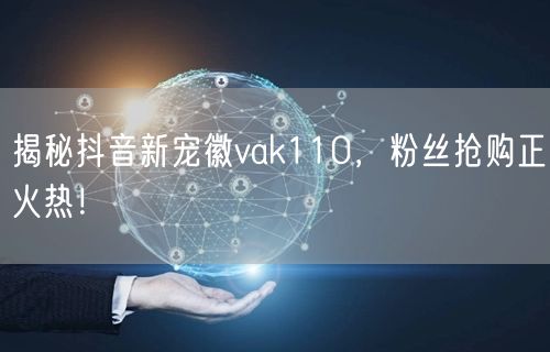 揭秘抖音新宠徽vak110,粉丝抢购正火热!