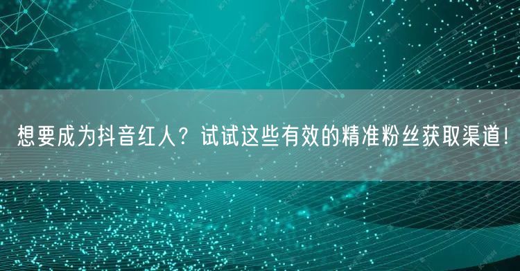 想要成为抖音红人？试试这些有效的精准粉丝获取渠道！