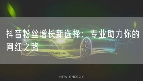 抖音粉丝增长新选择:专业助力你的网红之路