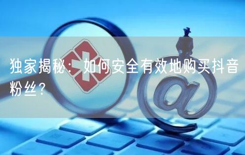 独家揭秘：如何安全有效地购买抖音粉丝？