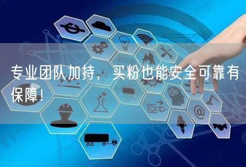 专业团队加持，买粉也能安全可靠有保障！