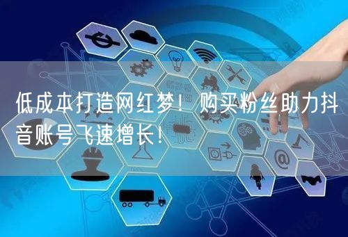 低成本打造网红梦！购买粉丝助力抖音账号飞速增长！