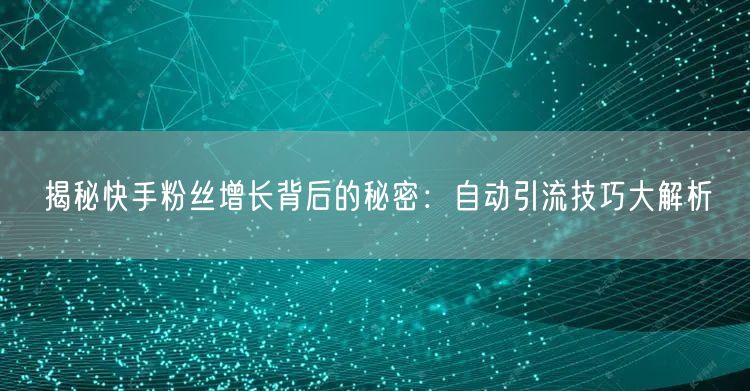 揭秘快手粉丝增长背后的秘密：自动引流技巧大解析