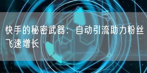 快手的秘密武器：自动引流助力粉丝飞速增长