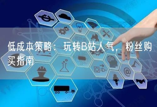 低成本策略：玩转B站人气，粉丝购买指南