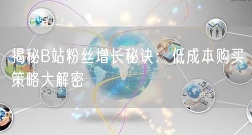 揭秘B站粉丝增长秘诀：低成本购买策略大解密